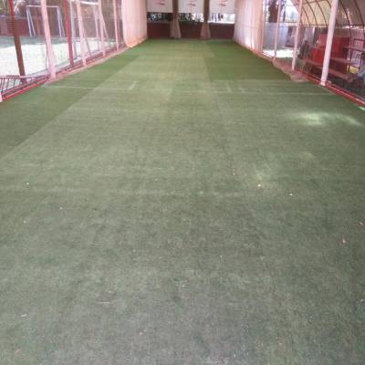 Dream Sports Fields, Ryan Goregaon